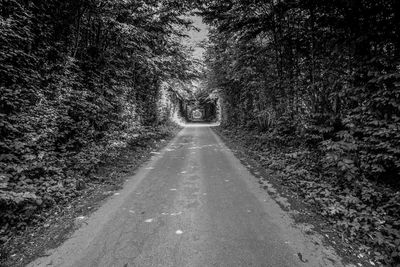 Road amidst trees in city