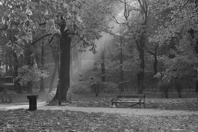 Empty bench in park during foggy weather