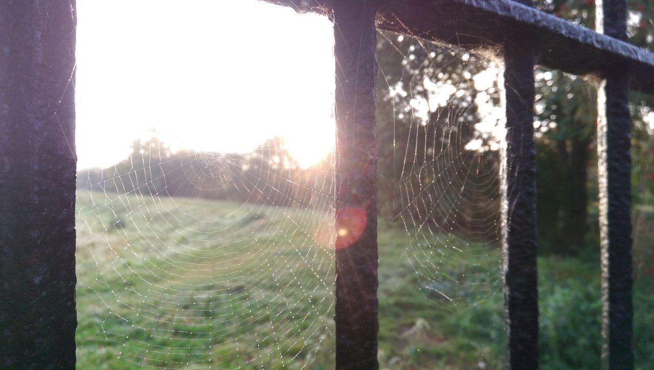 sun, window, sunlight, clear sky, drop, glass - material, close-up, transparent, water, lens flare, nature, indoors, wet, focus on foreground, fence, tranquility, sunbeam, no people, sky, sunset
