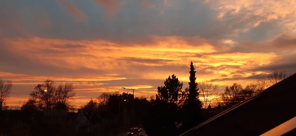 Silhouette trees against sky during sunset