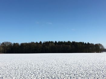 Trees on field against clear blue sky