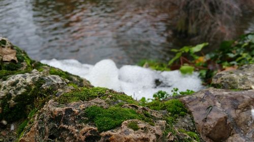 Close-up of water flowing through rocks