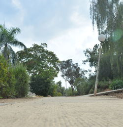 Street amidst trees against sky