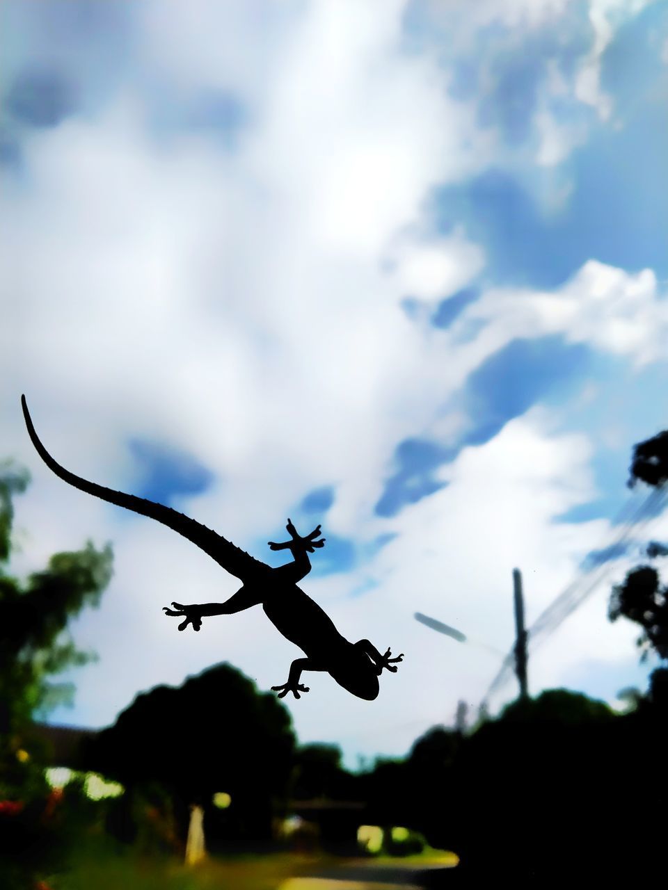 LOW ANGLE VIEW OF SILHOUETTE AIRPLANE FLYING IN SKY