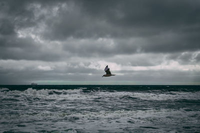 Scenic view of bird flying over the sea against cloudy sky