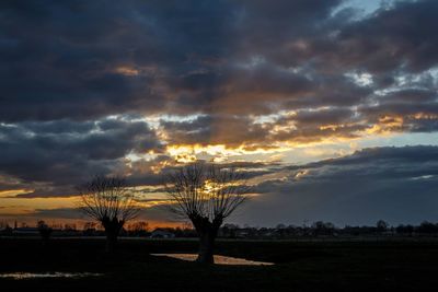 Silhouette of trees on landscape against cloudy sky