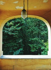 Low angle view of trees against sky seen through window
