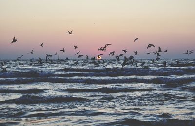 Birds flying over sea against sky during sunset