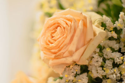 Close-up of rose bouquet