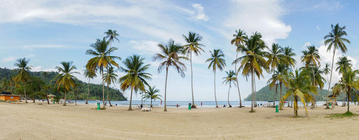 Panoramic view of palm trees on beach against sky