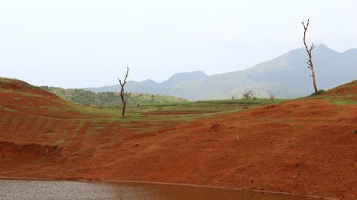 Scenic view of landscape against sky