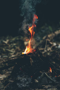 Close-up of bonfire at night