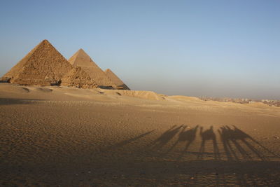 Scenic view of giza pyramids with shadow of camels across the sand