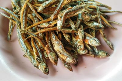 High angle view of fish in plate