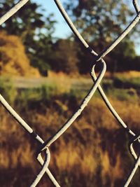 Close-up of barbed wire fence on field