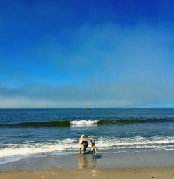 Rear view of dogs at beach against sky