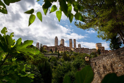 Trees and buildings against sky