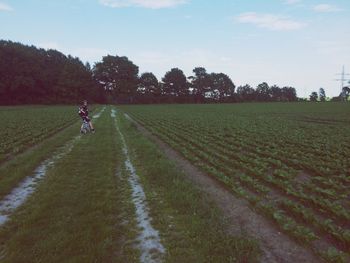 People walking on grassy field
