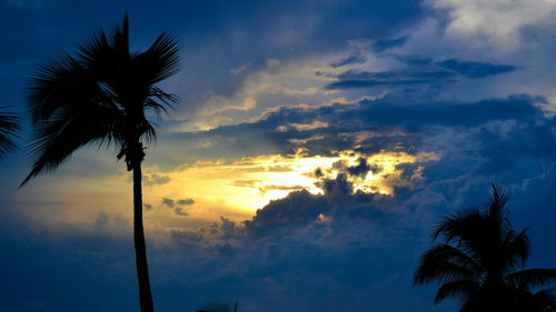 Silhouette of trees against dramatic sky