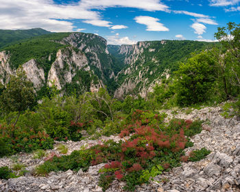 Scenic view of trees and mountains against sky