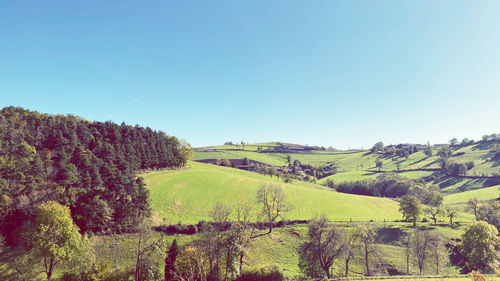 Scenic view of field against clear sky