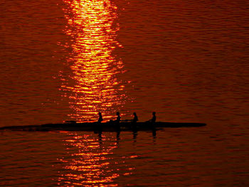 Rowing quartet and sunset