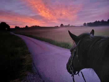 Scenic view of field against sky during sunset