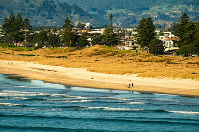 Tauranga beach. views from leisure island. distant overview.