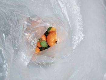 High angle view of orange fruit in plastic
