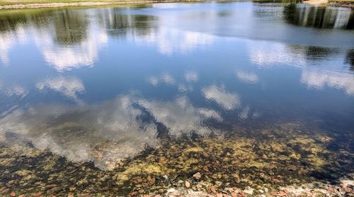 Reflection of trees in lake