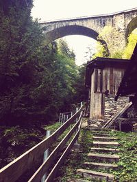 Bridge over railroad track in forest