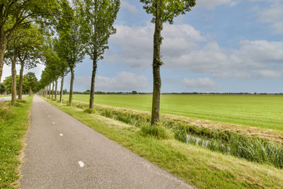 Road amidst trees against sky