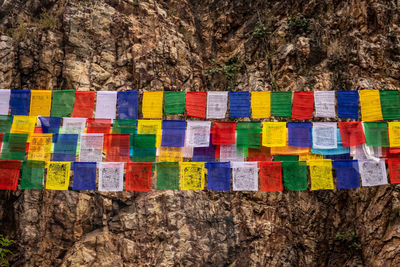 Close-up of multi colored rock on tree trunk