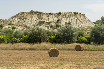 Hay bales on field against sky