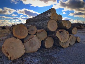 Stack of logs against sky