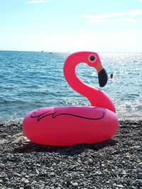 Close-up of swan in sea against sky
