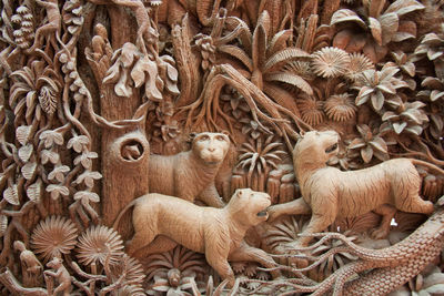 Full frame shot of a cat