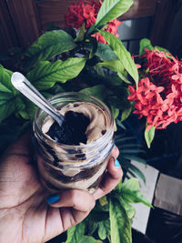 Close-up of hand holding flower pot