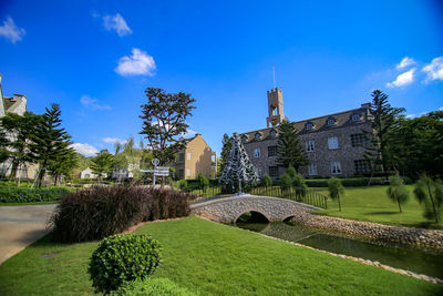 Trees growing by building against blue sky