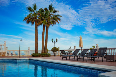 Palm trees on beach against sky