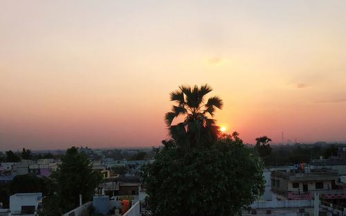 Silhouette trees and buildings against sky during sunset