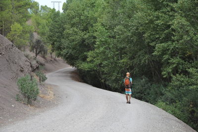 Man walking on road amidst trees in forest