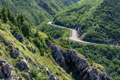 A scenic drive along cabot trail through the forests of cape breton island in nova scotia, canada.