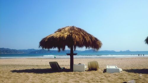 Palm trees on beach