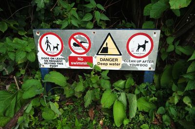 Close-up of information sign against plants