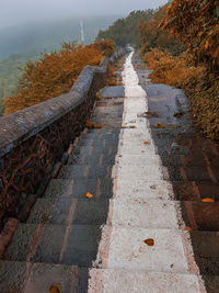 High angle view of road amidst plants