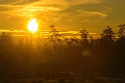 Scenic view of sunset