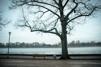 Bare tree by river against sky in city