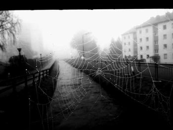 Close-up of spider web against buildings