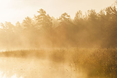 Mist at still lake at sunrise